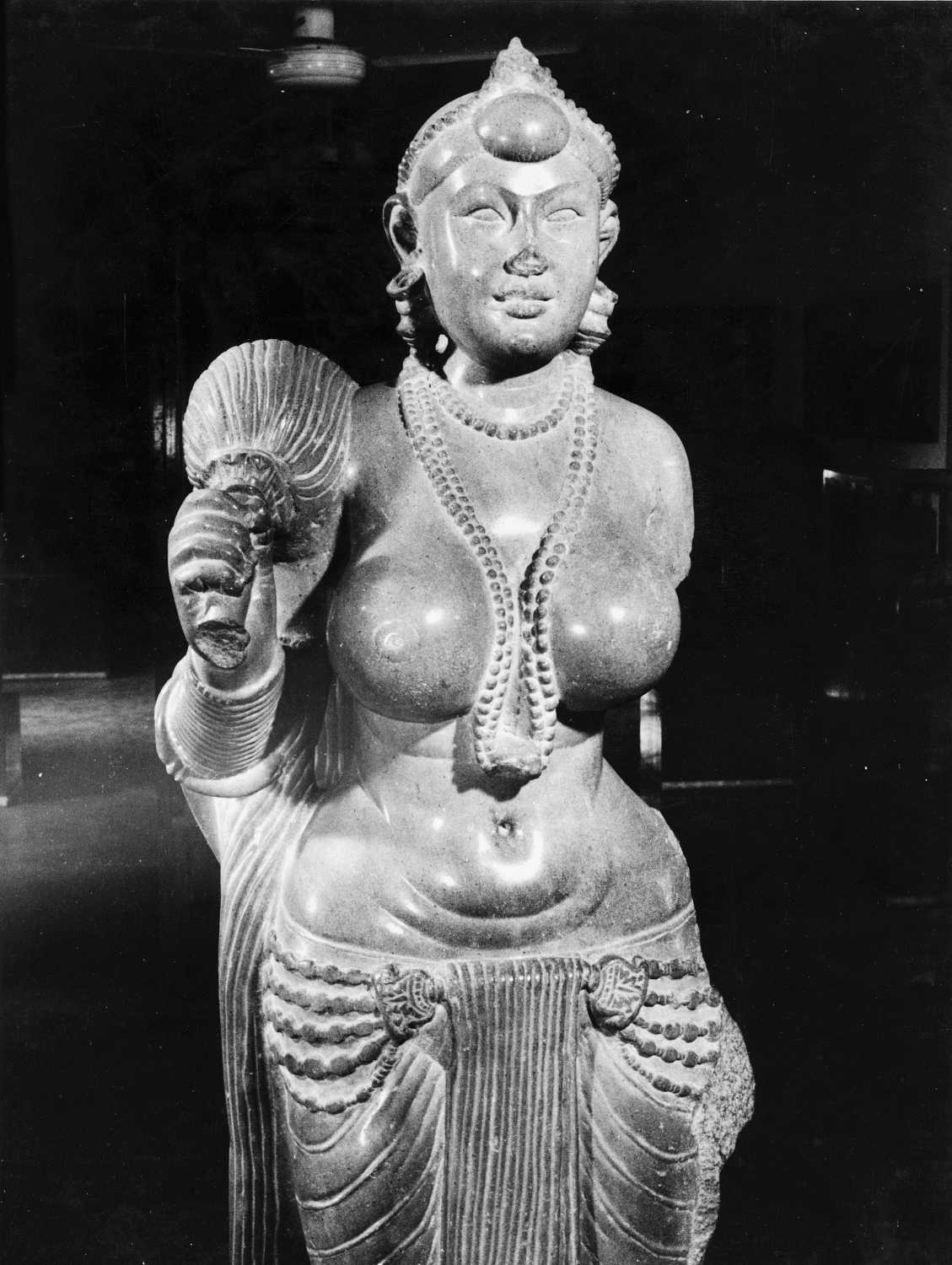 Patna Museum, Patna, Bihar