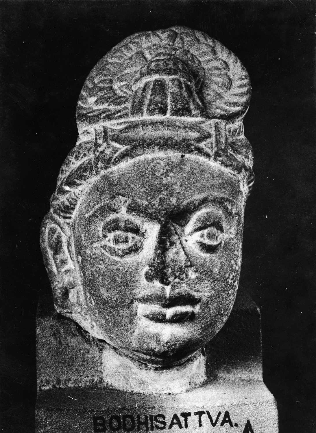 Patna Museum, Patna, Bihar