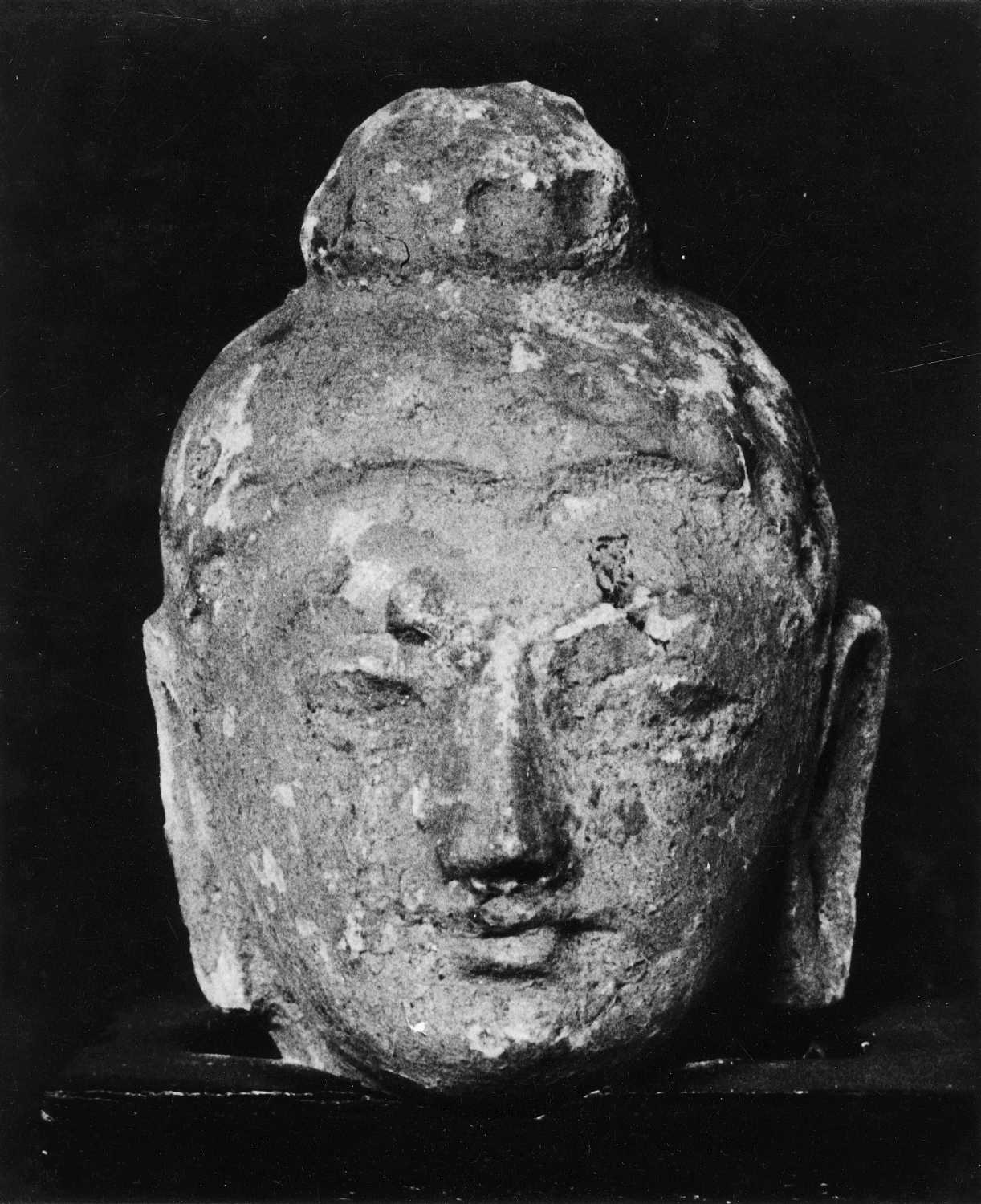 Patna Museum, Patna, Bihar