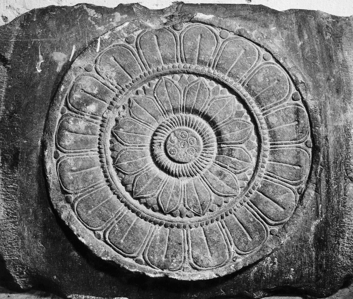 Patna Museum, Patna, Bihar