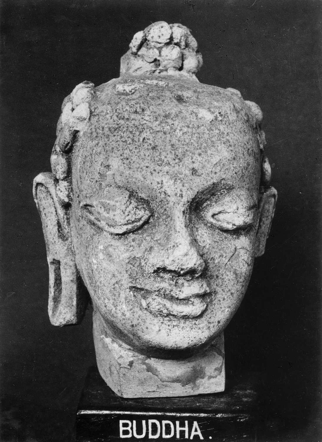 Patna Museum, Patna, Bihar