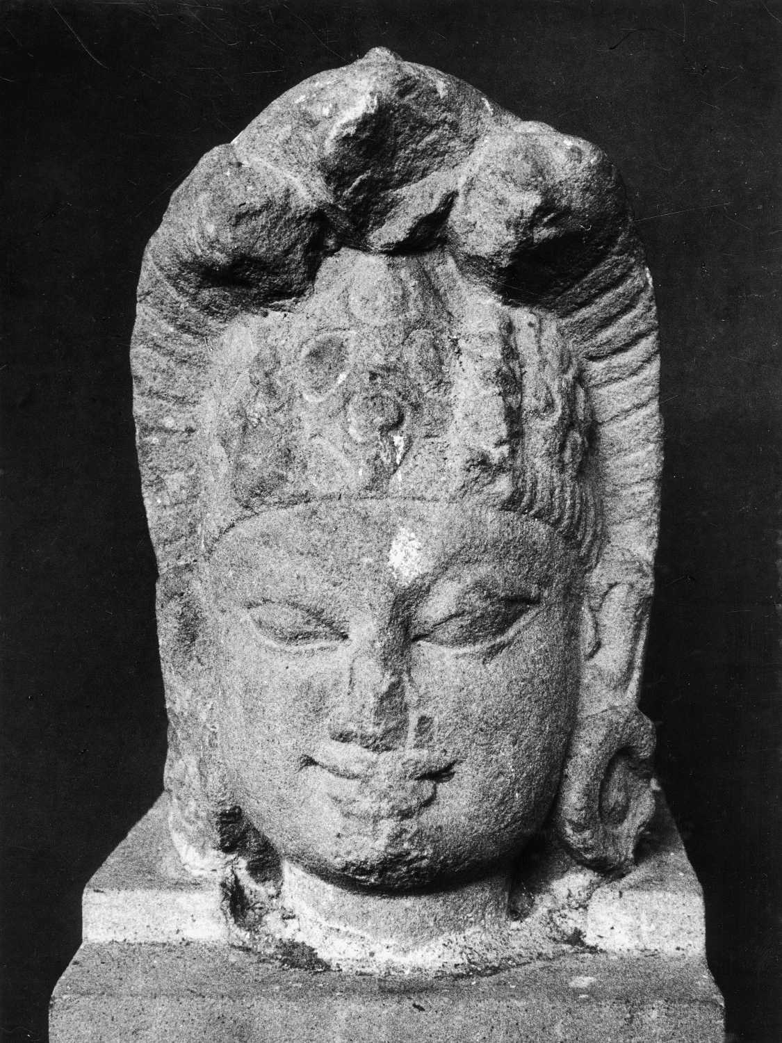 Patna Museum, Patna, Bihar