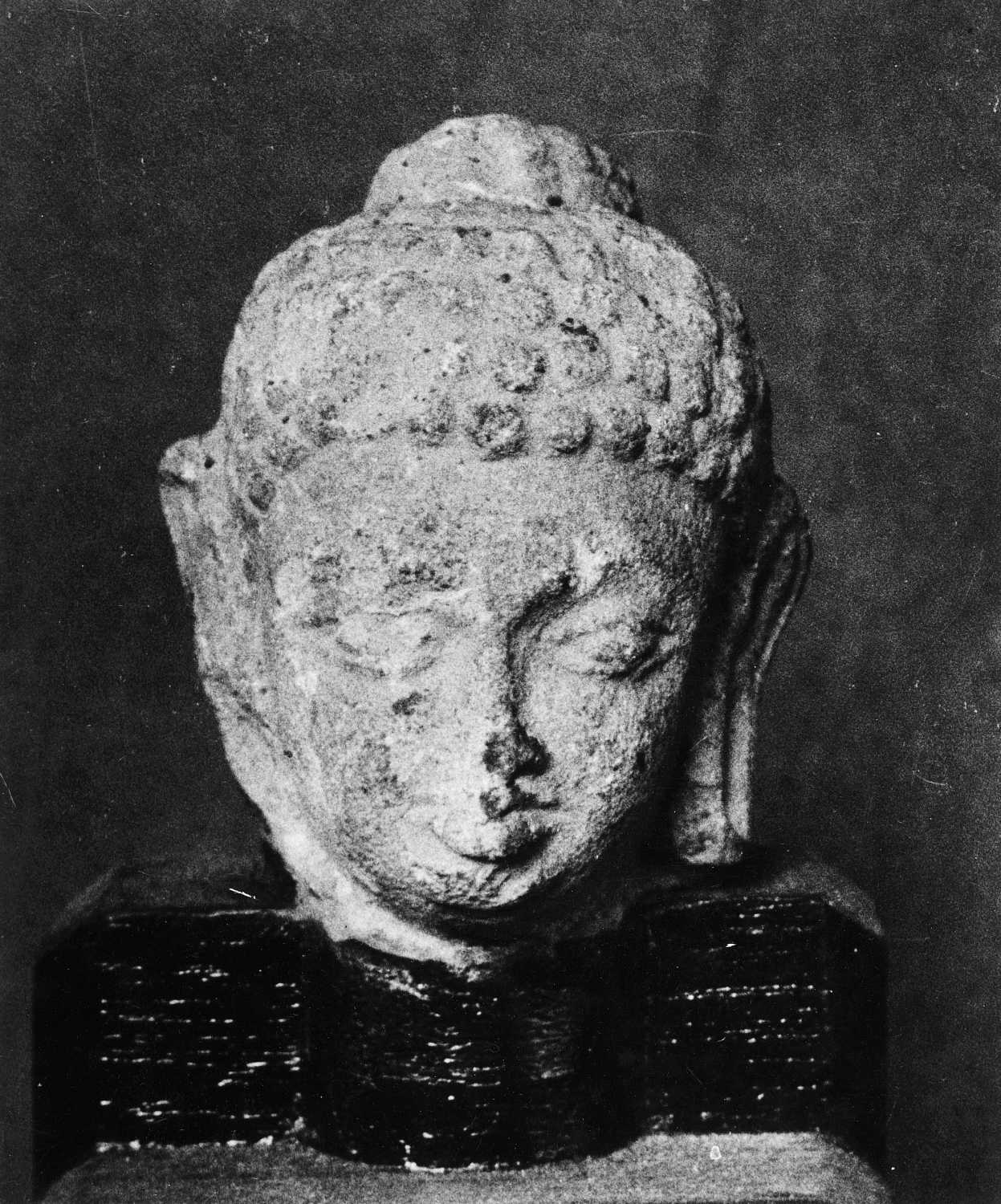 Patna Museum, Patna, Bihar