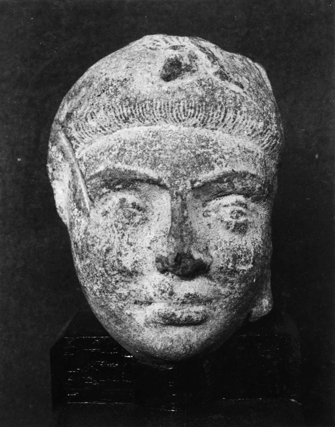 Patna Museum, Patna, Bihar