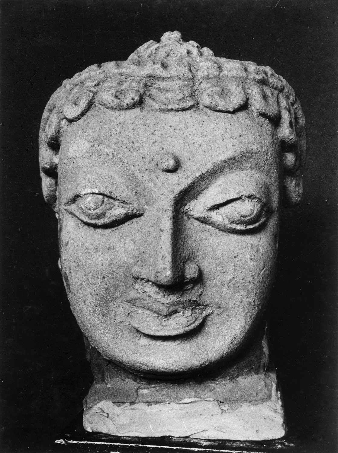 Patna Museum, Patna, Bihar