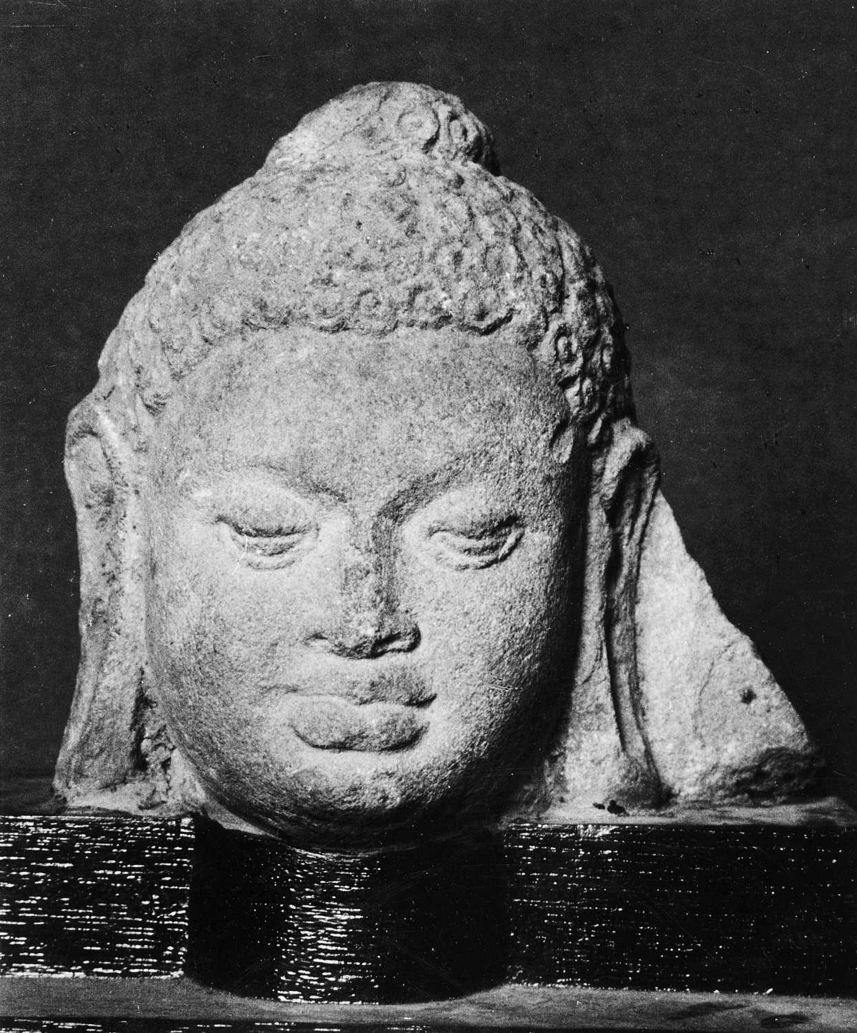 Patna Museum, Patna, Bihar