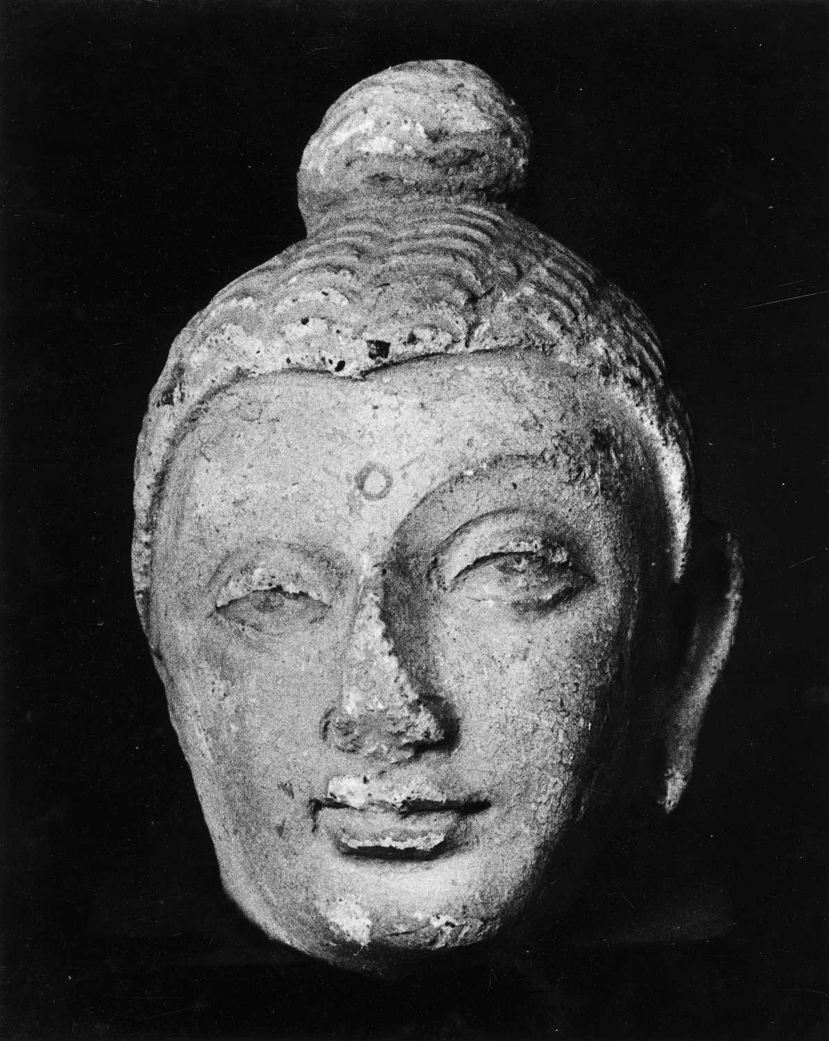 Patna Museum, Patna, Bihar