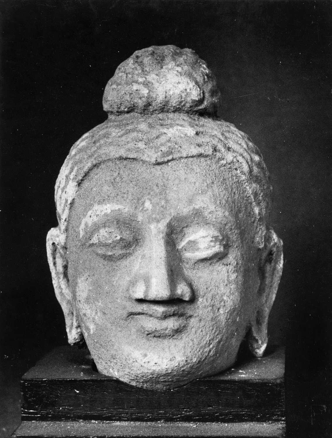 Patna Museum, Patna, Bihar