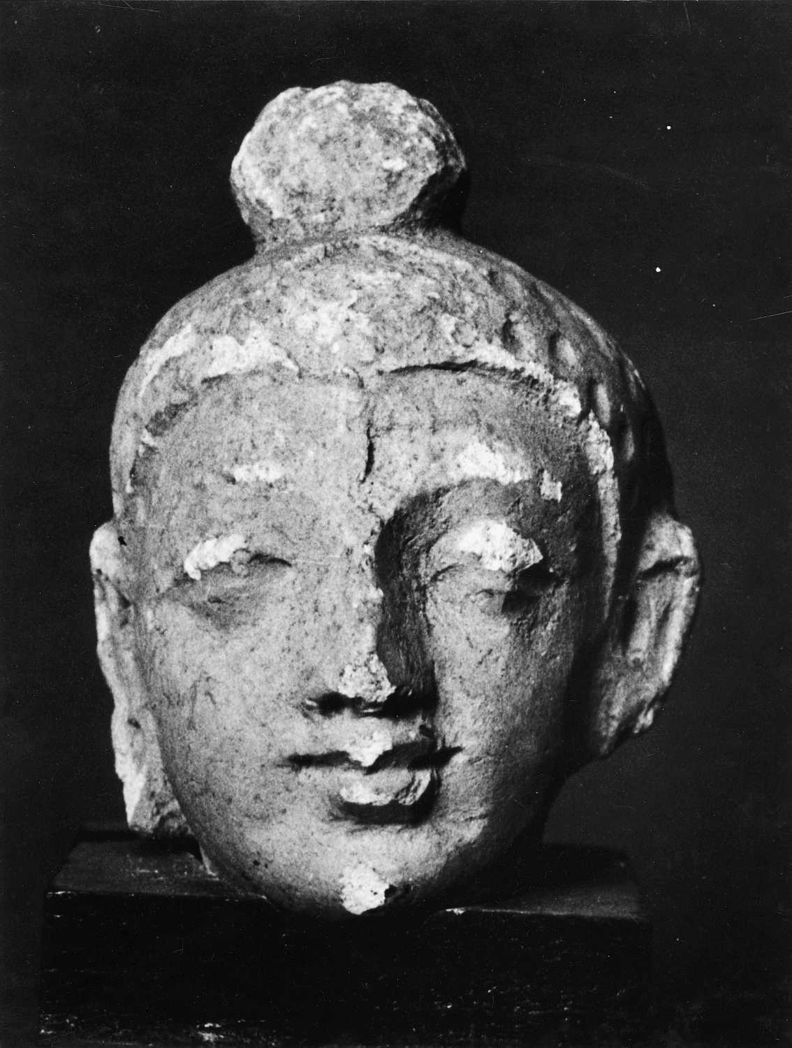 Patna Museum, Patna, Bihar