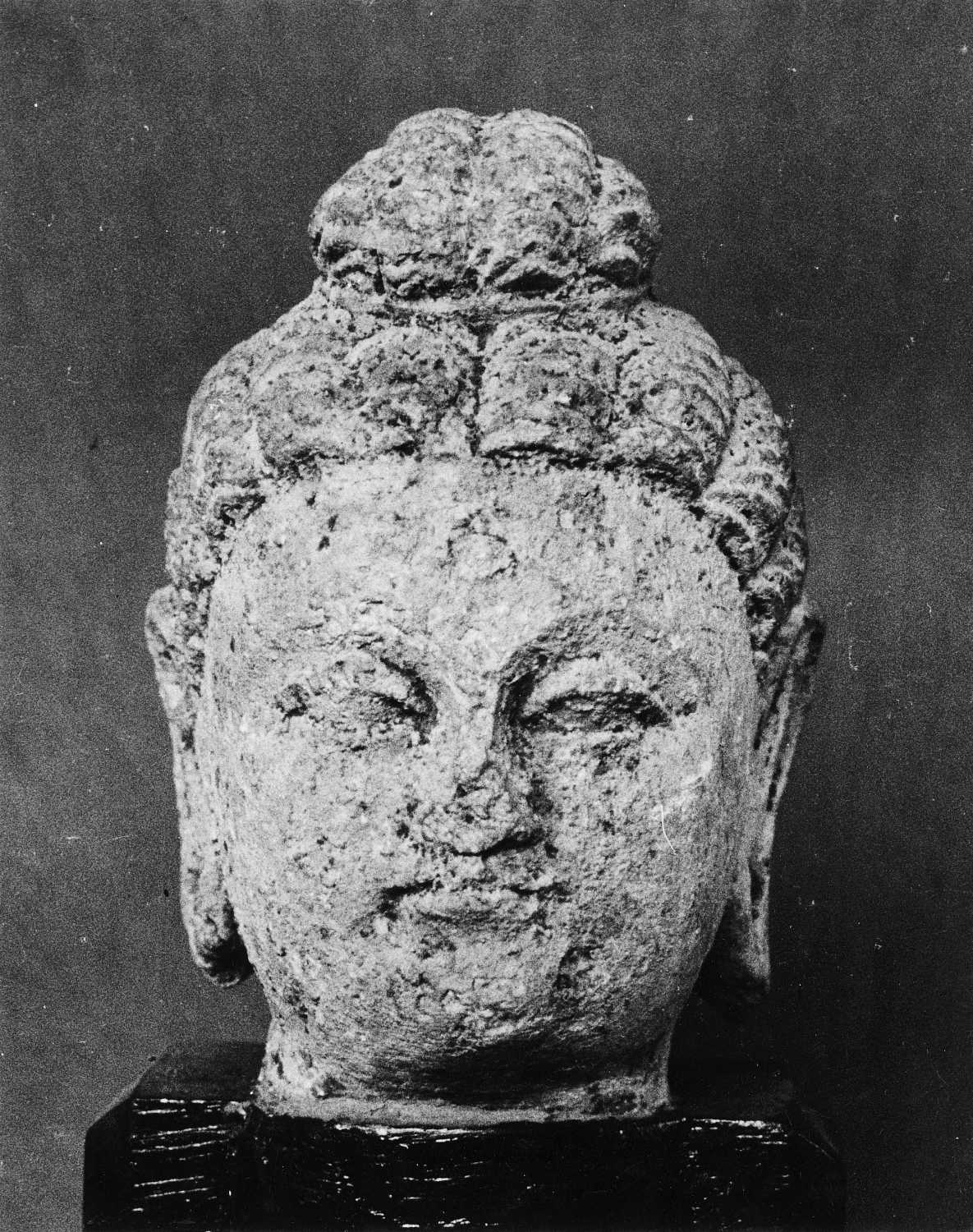 Patna Museum, Patna, Bihar