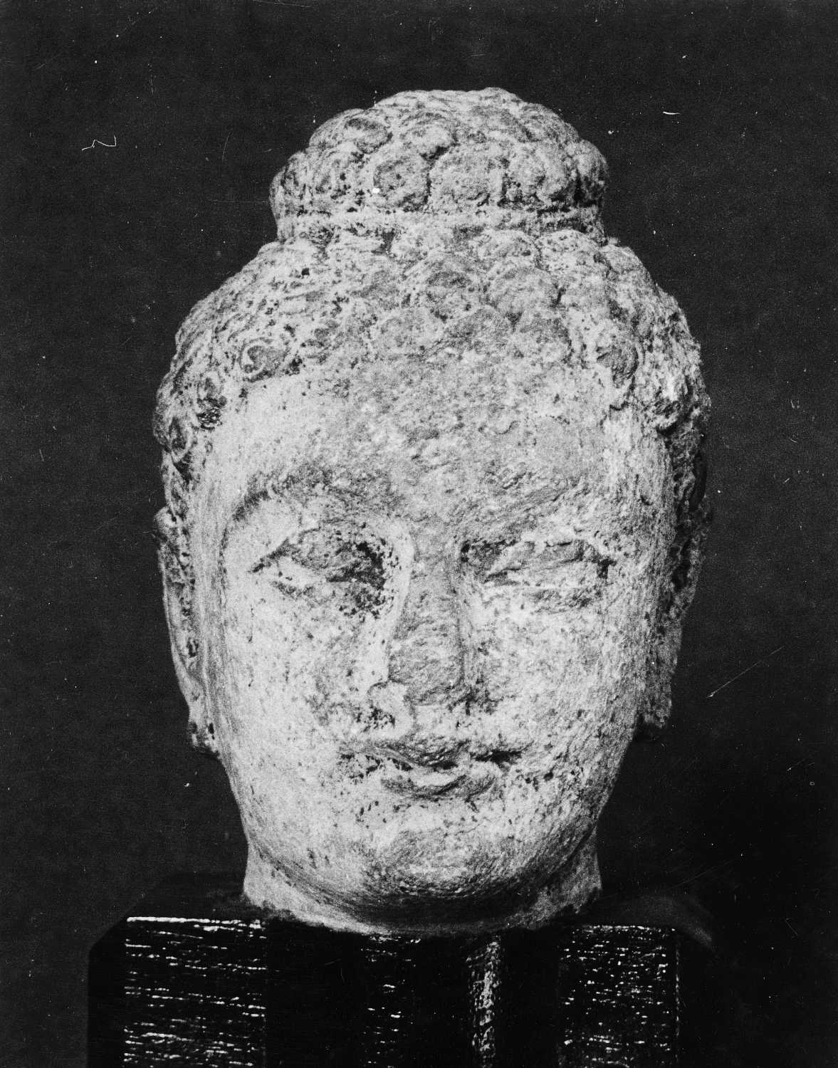 Patna Museum, Patna, Bihar