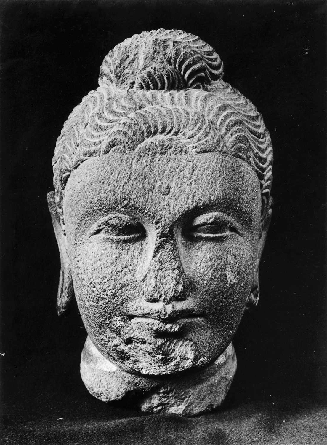Patna Museum, Patna, Bihar