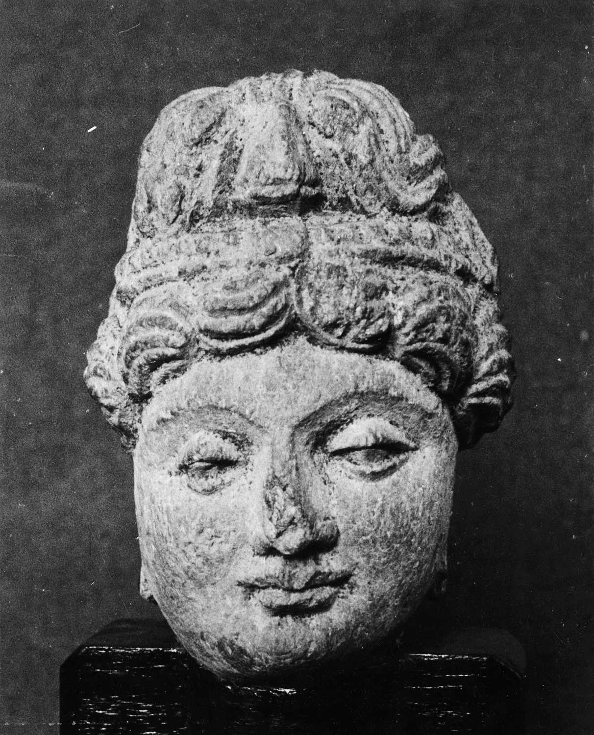 Patna Museum, Patna, Bihar