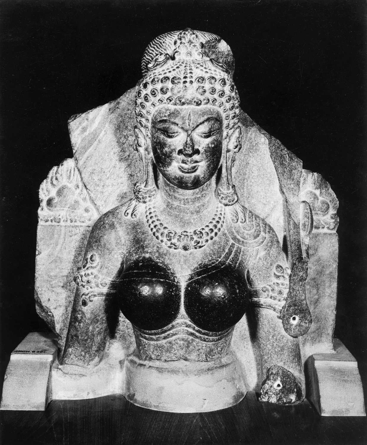 Patna Museum, Patna, Bihar