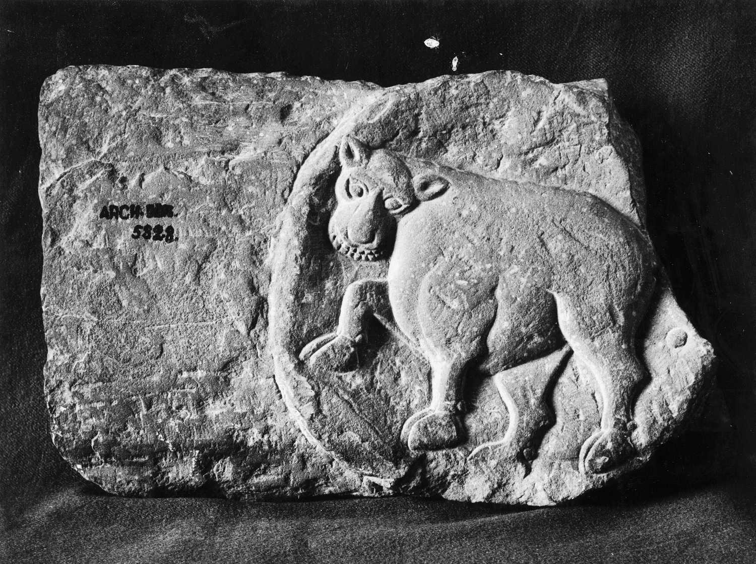 Patna Museum, Patna, Bihar