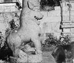 Vaikunthavasa Perumal, Kiliyanur, Tamil Nadu