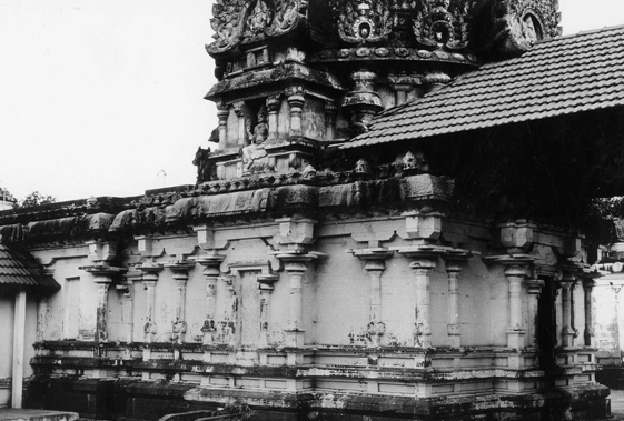 Anantisvarasvami temple, Kattumannargudi, Tamil Nadu