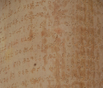 Asokan Pillar, Lauriya Araraj, Bihar