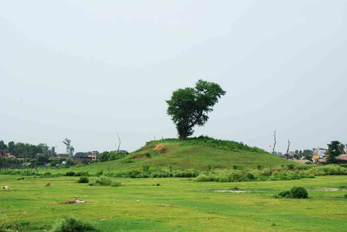 Asokan Pillar, Lauriya-Nandangarh, Bihar