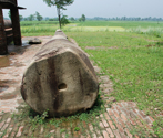 Asokan Pillars, Rampurva, Bihar
