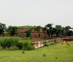 Kesariya Stupa, Kesariya, Bihar