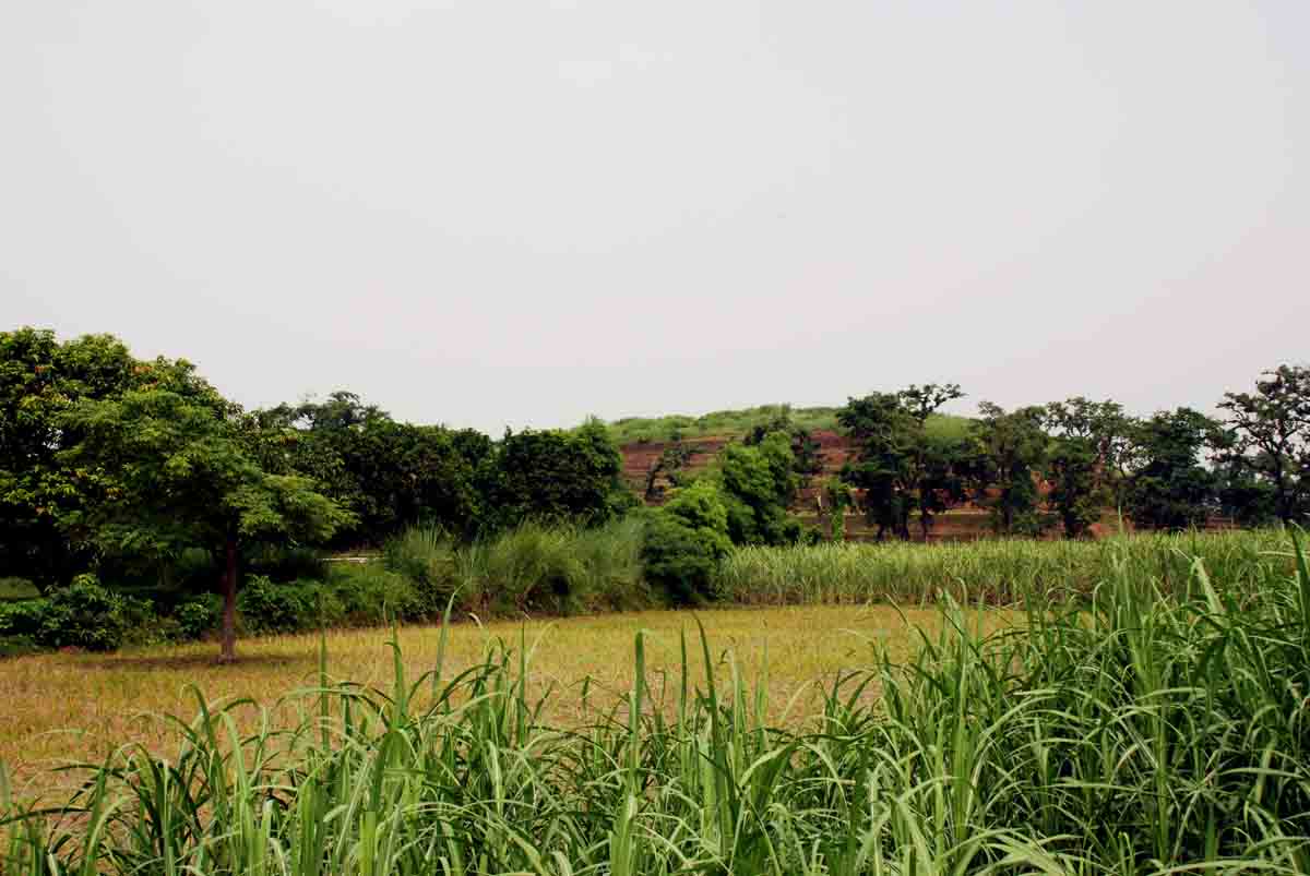 Kesariya Stupa, Kesariya, Bihar