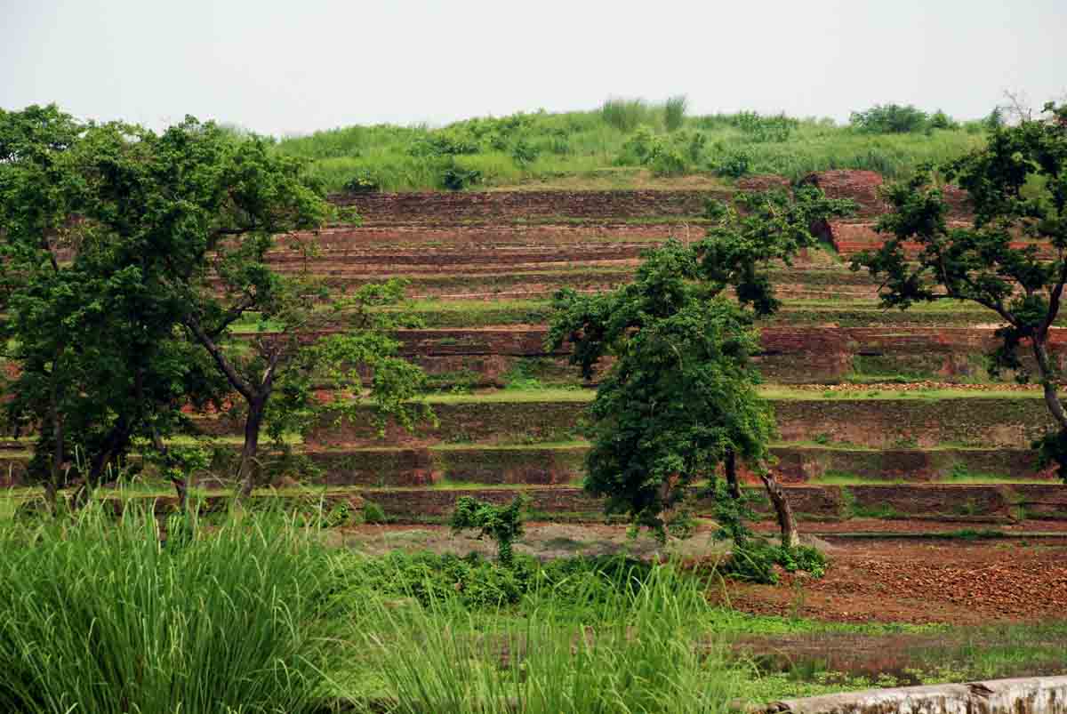 Kesariya Stupa, Kesariya, Bihar