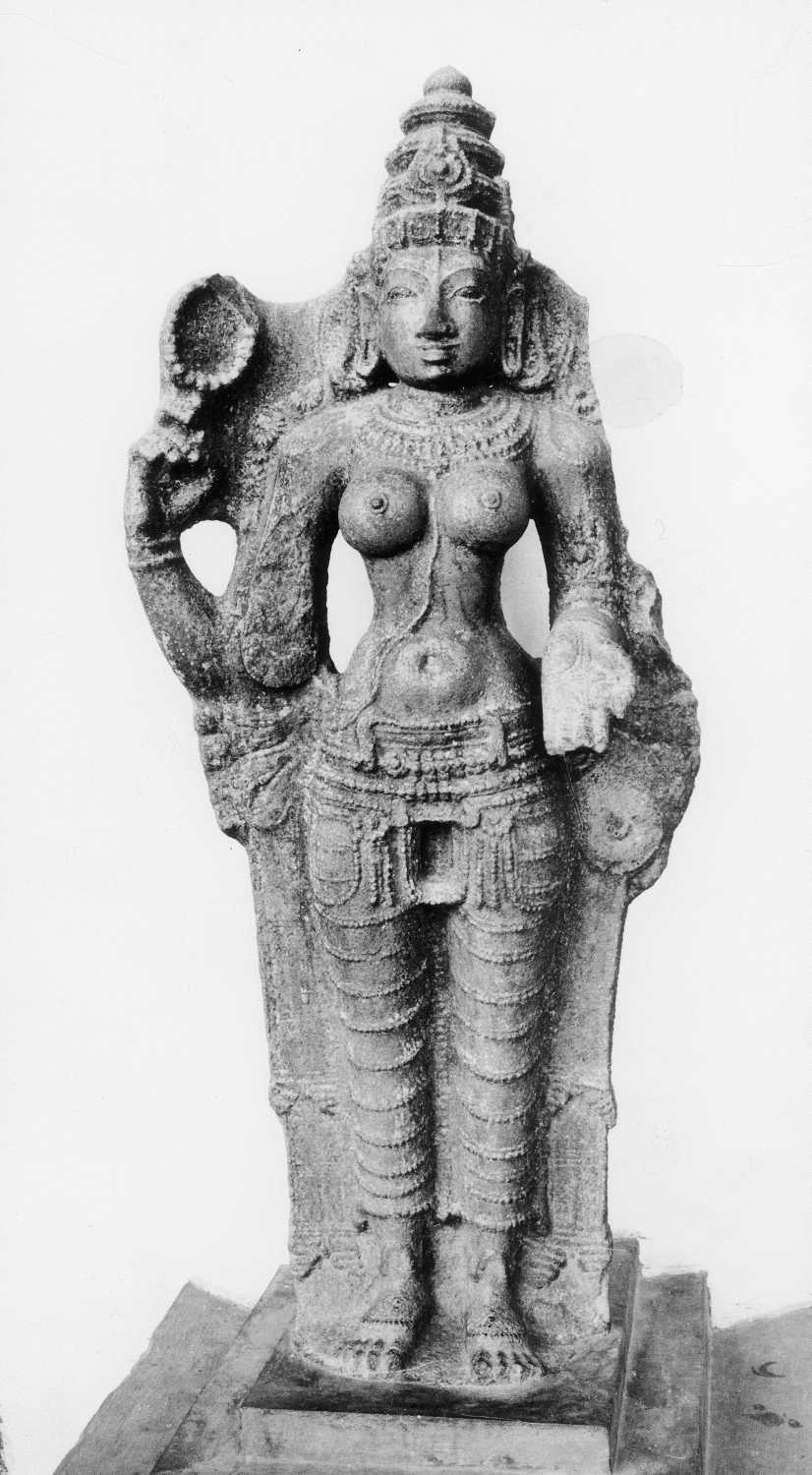 Tanjore Art Gallery and Museum, Thanjavur