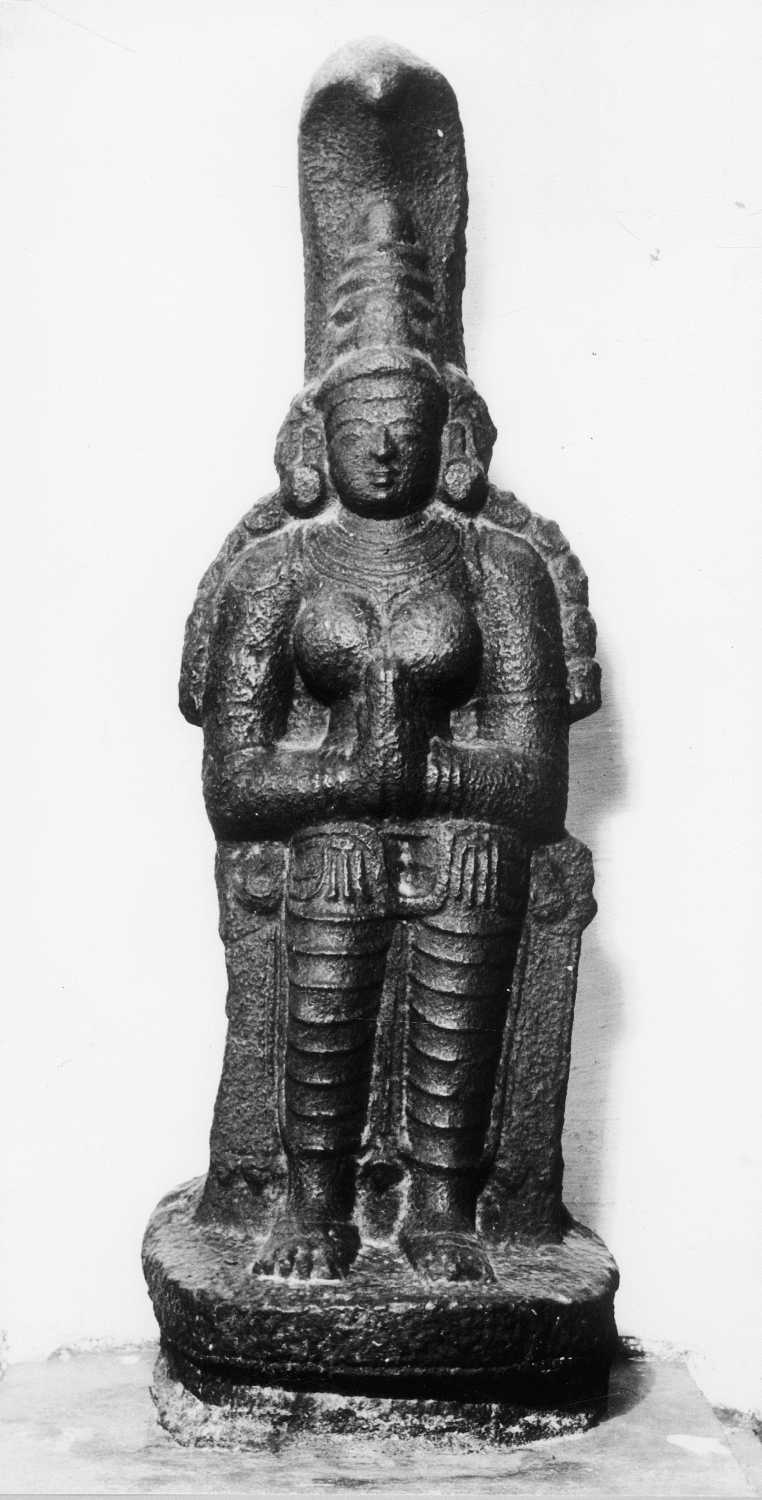 Tanjore Art Gallery and Museum, Thanjavur
