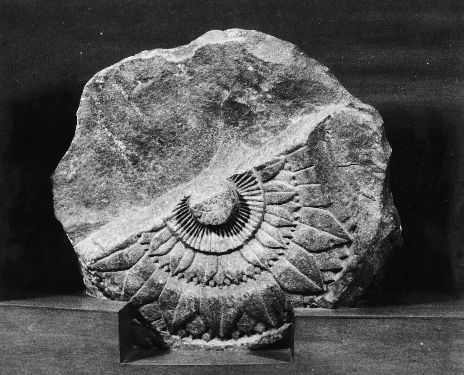 Allahabad Museum, Sculpture