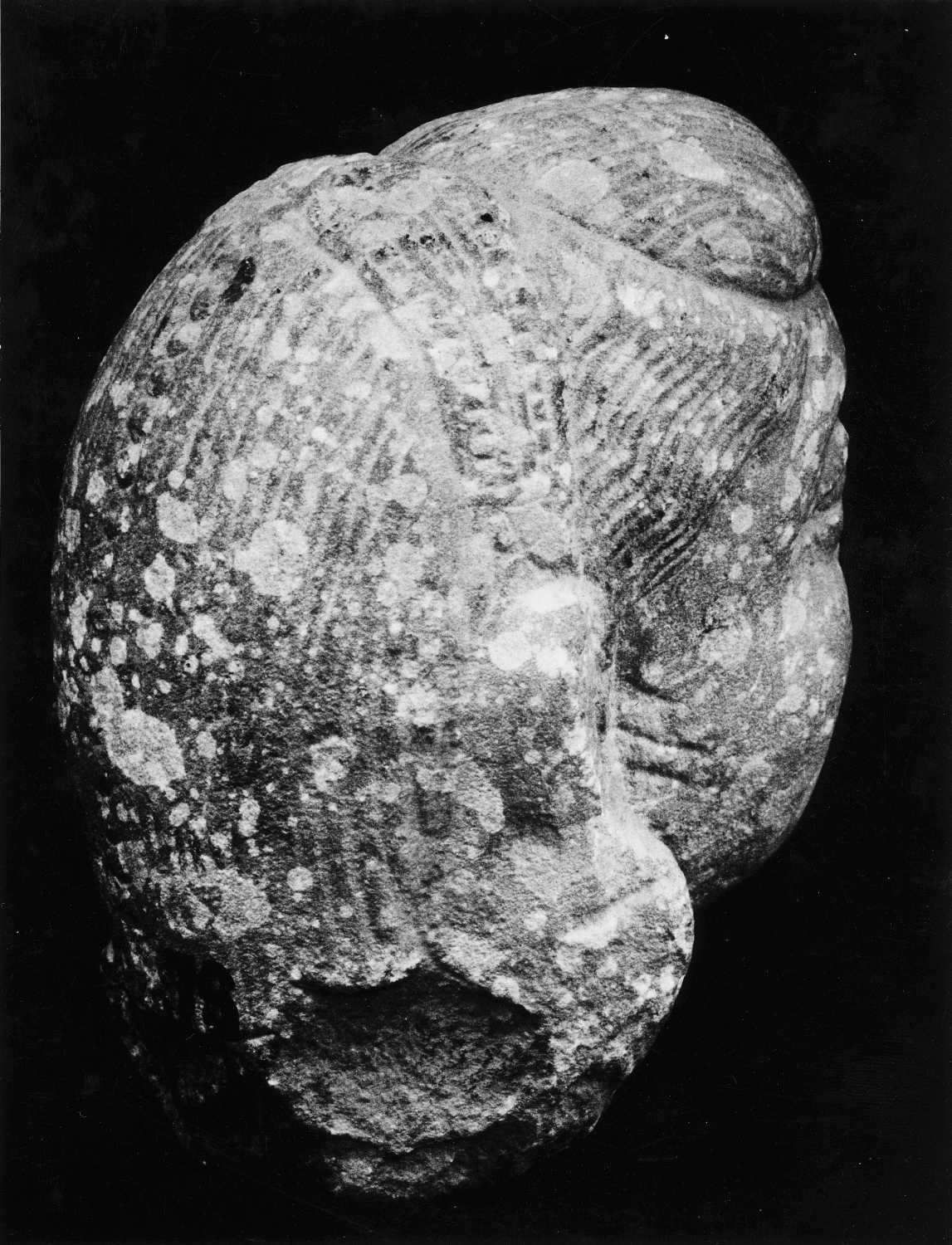 Allahabad Museum, Sculpture