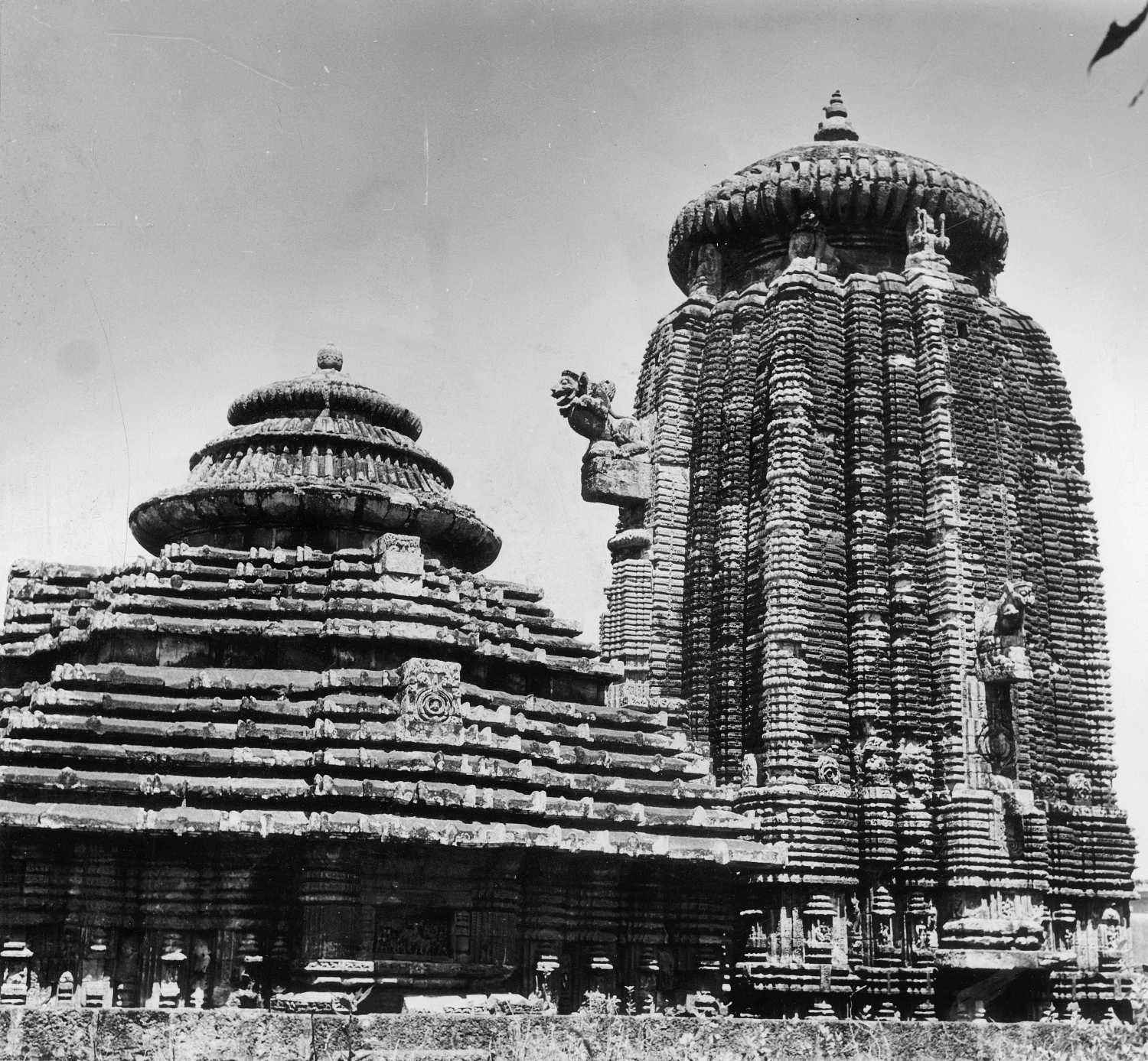 Sari-Deul, Bhubaneswar, Odisha
