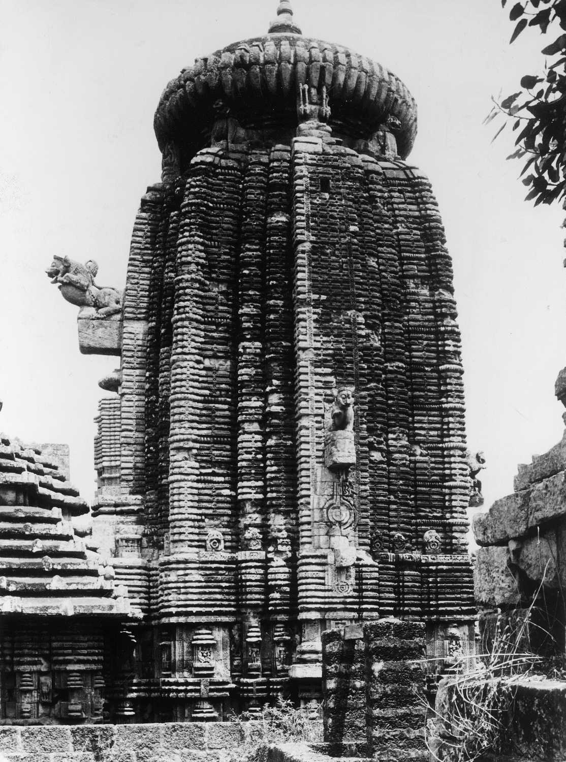 Sari-Deul, Bhubaneswar, Odisha
