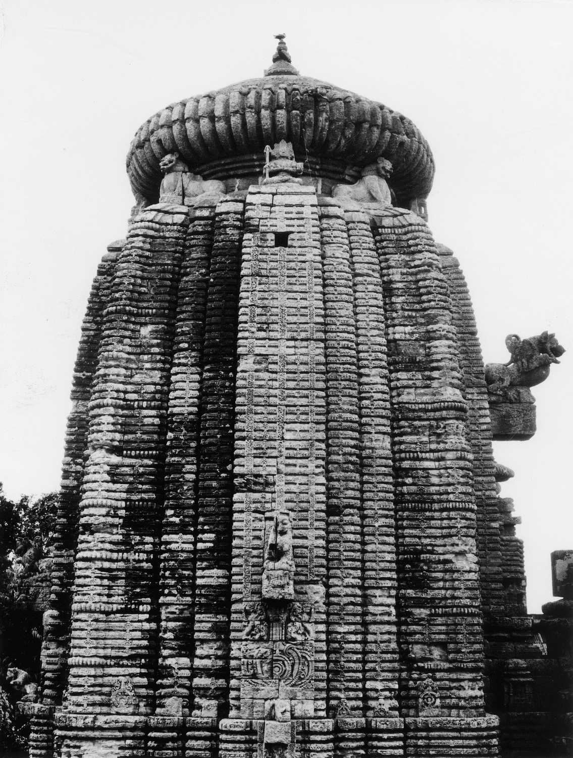 Sari-Deul, Bhubaneswar, Odisha