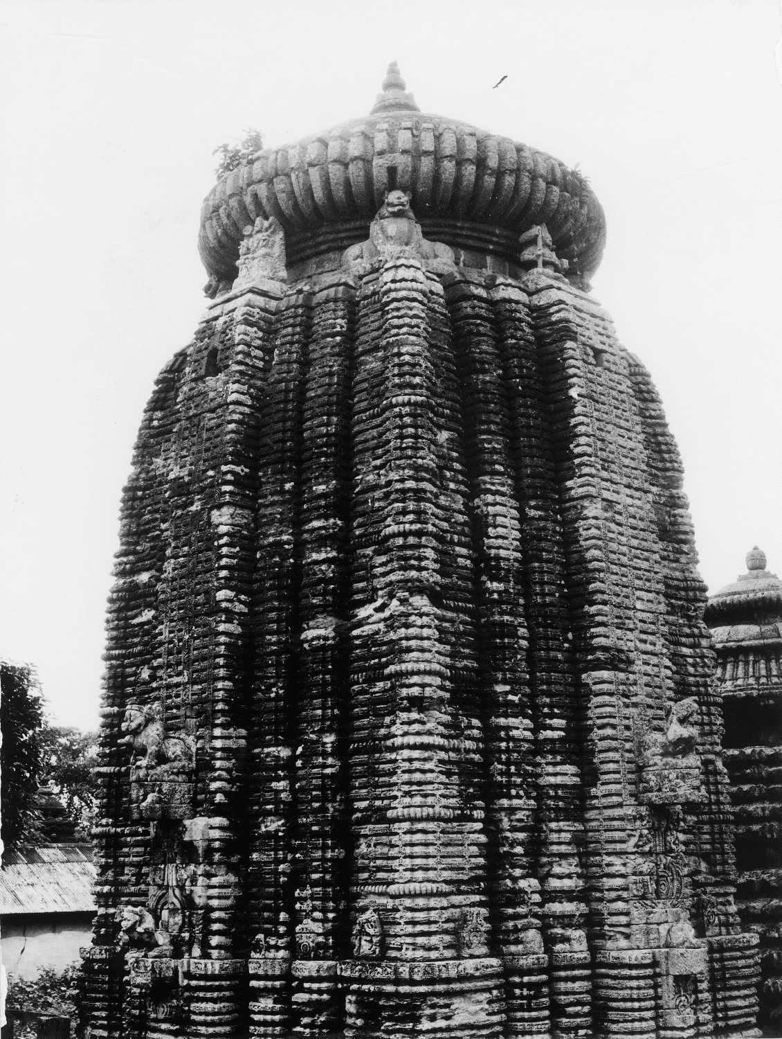 Sari-Deul, Bhubaneswar, Odisha