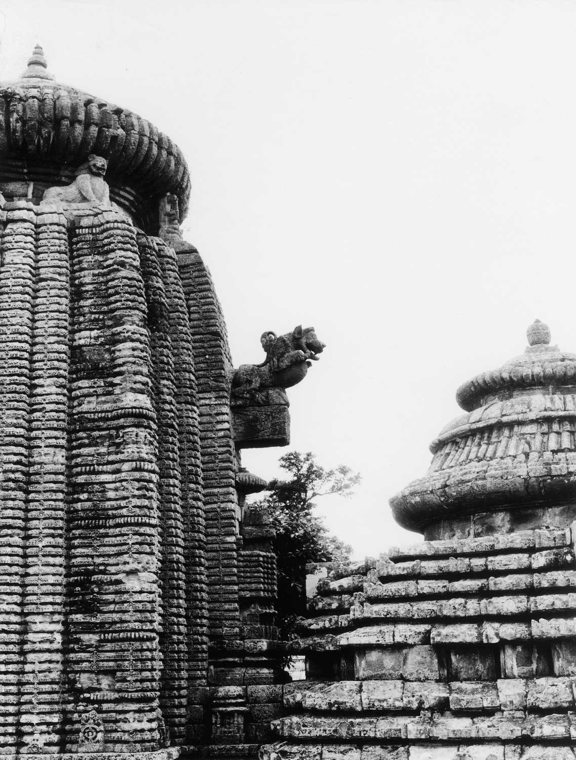 Sari-Deul, Bhubaneswar, Odisha