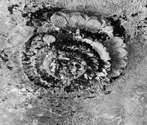 Cave 25 (Kumbharwada), Ellora, Maharashtra