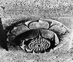 Caves (Jain Group), Ellora