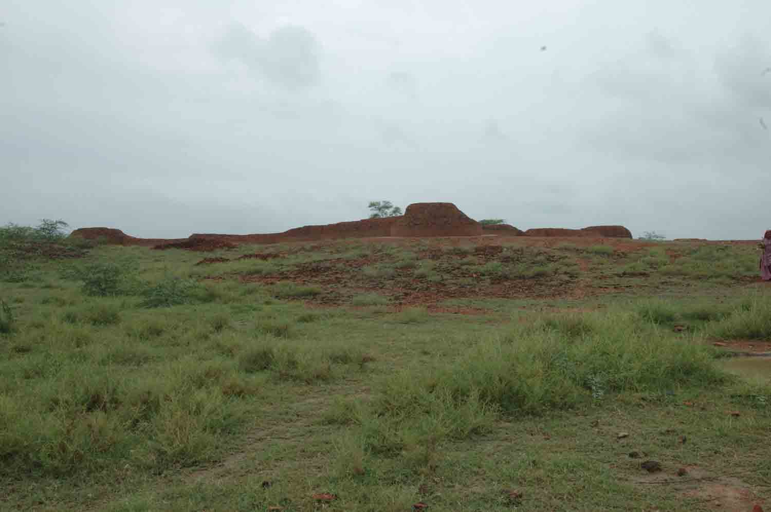 Remains of Early Historical site, Agroha