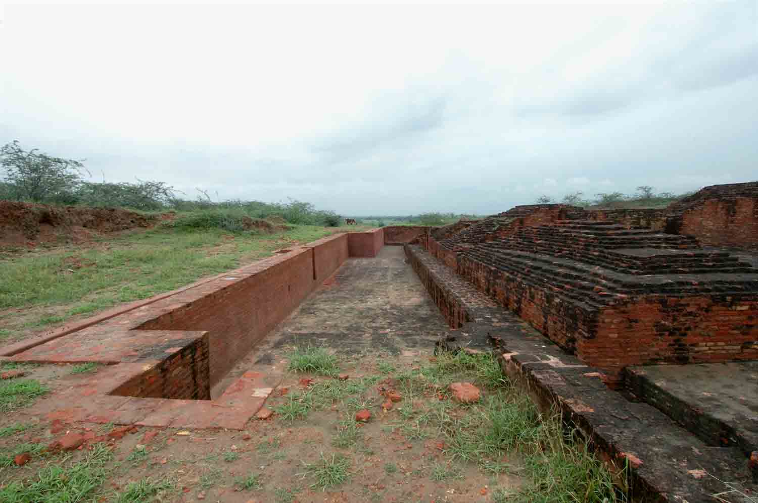 Remains of Early Historical site, Agroha