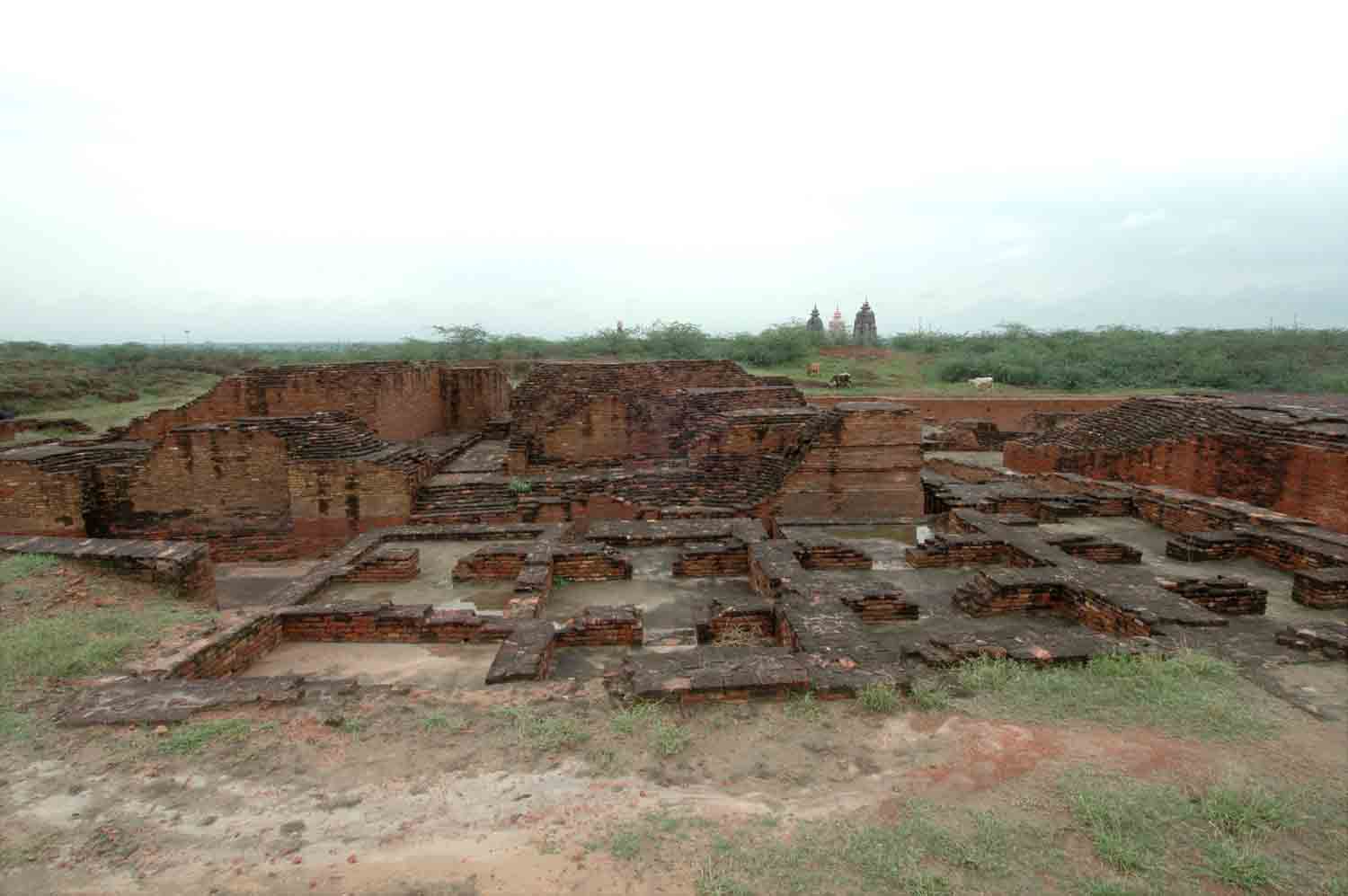 Remains of Early Historical site, Agroha