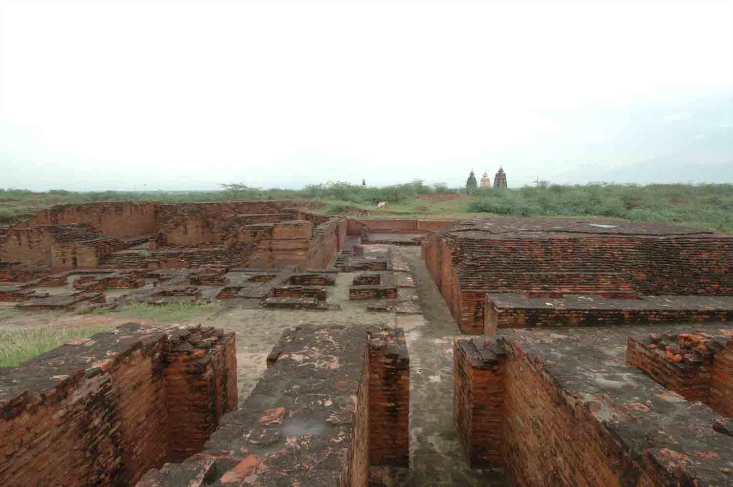 Remains of Early Historical site, Agroha