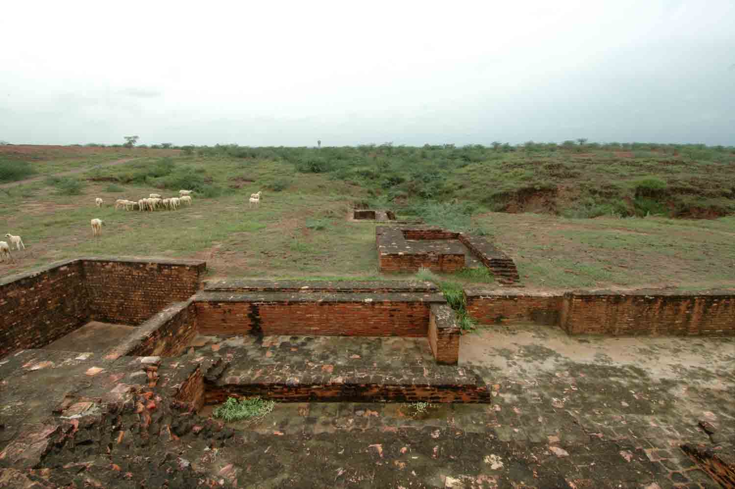 Remains of Early Historical site, Agroha