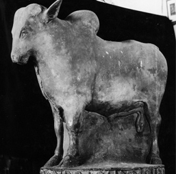 Indian Museum, Kolkata, West Bengal