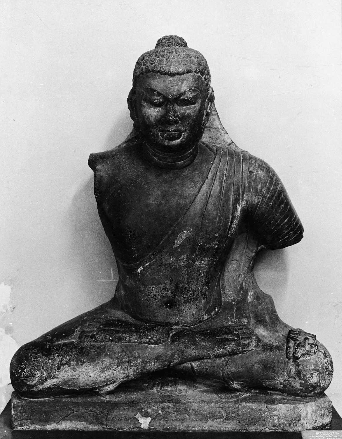 Indian Museum, Kolkata, West Bengal