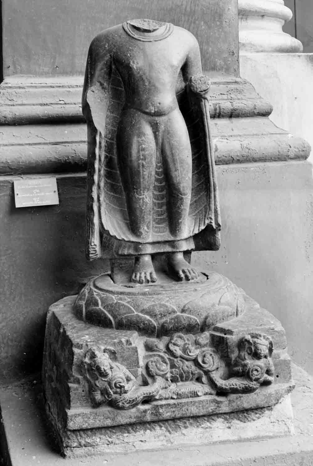 Indian Museum, Kolkata, West Bengal