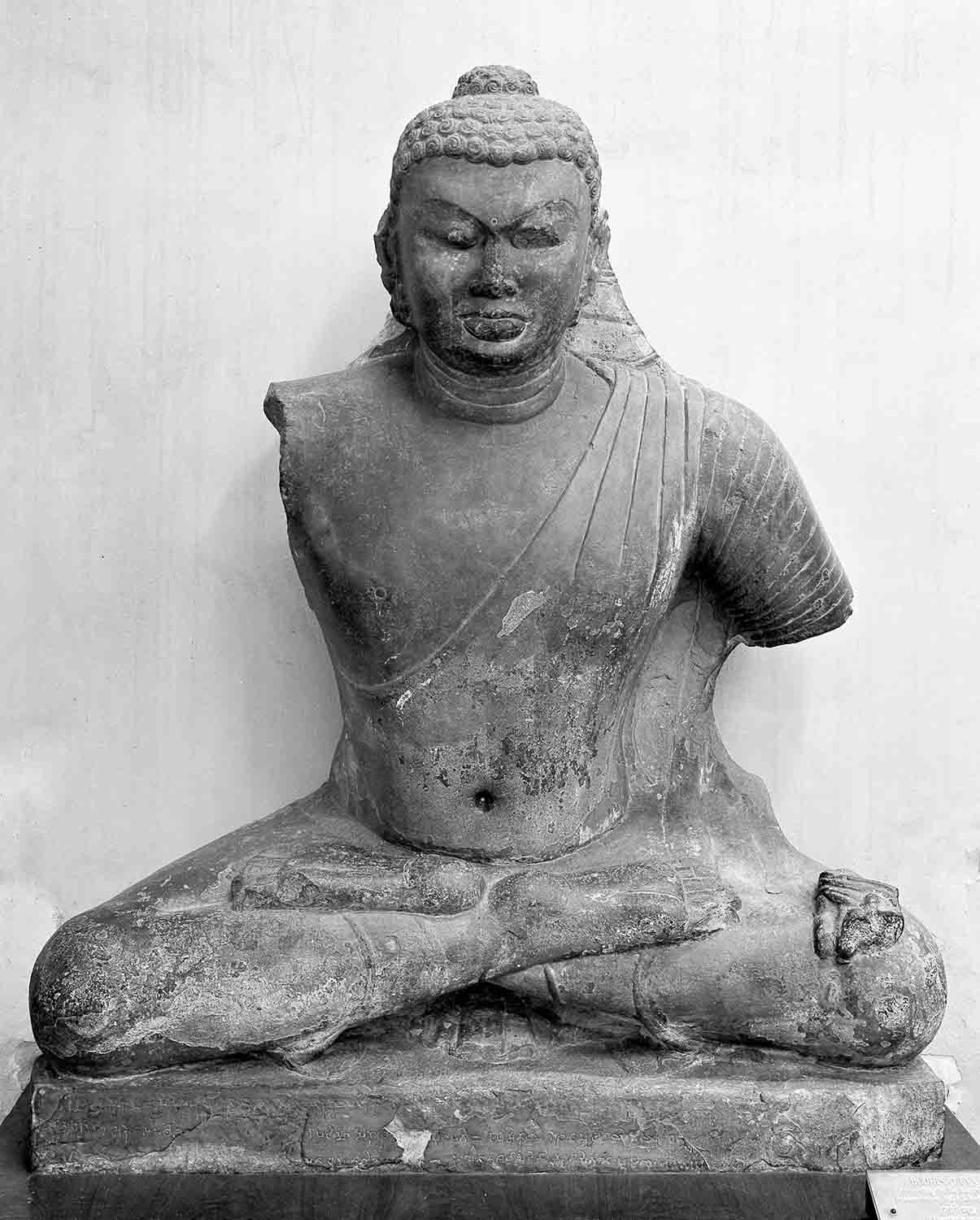 Indian Museum, Kolkata, West Bengal