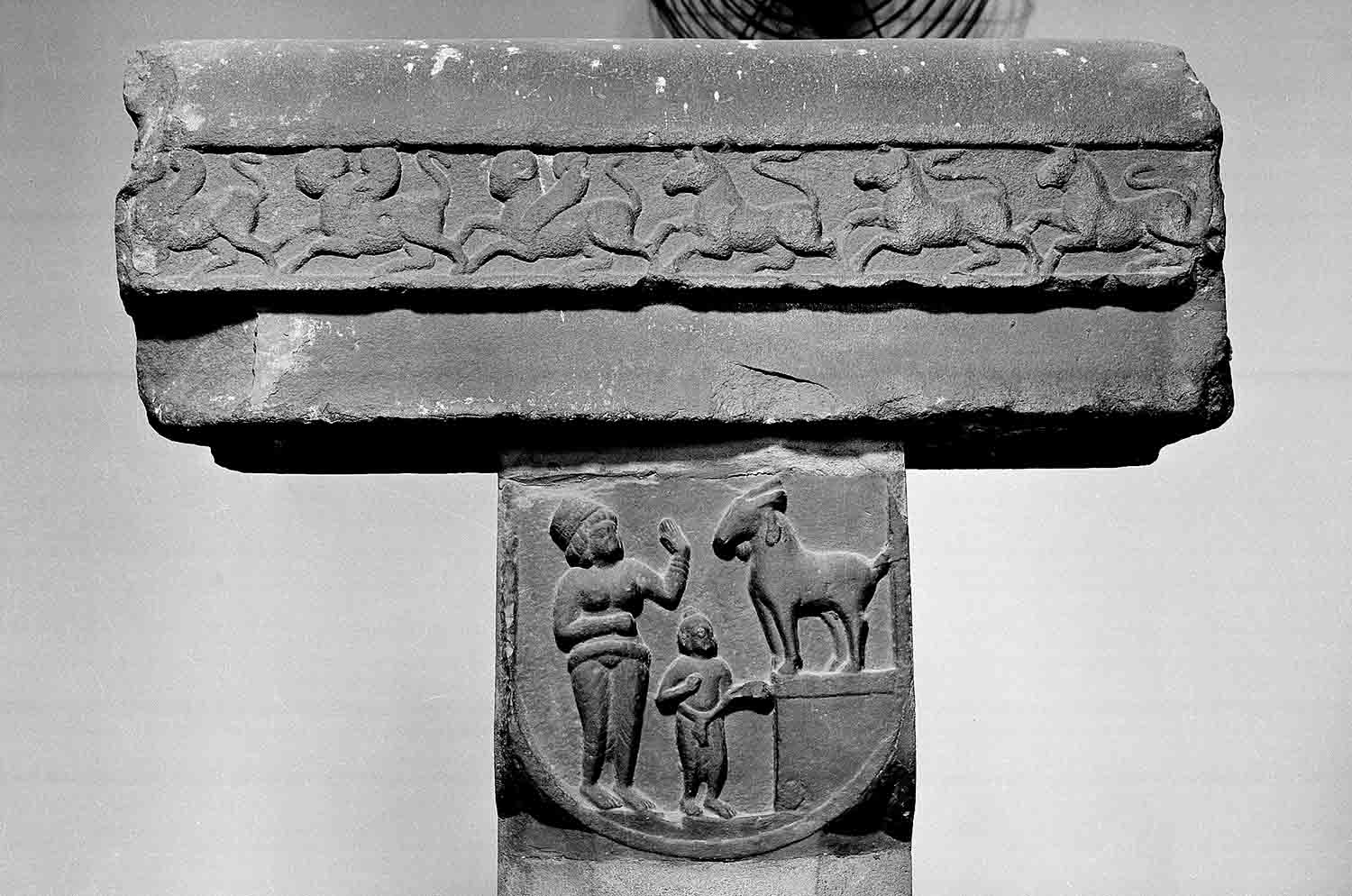 Indian Museum, Kolkata, West Bengal