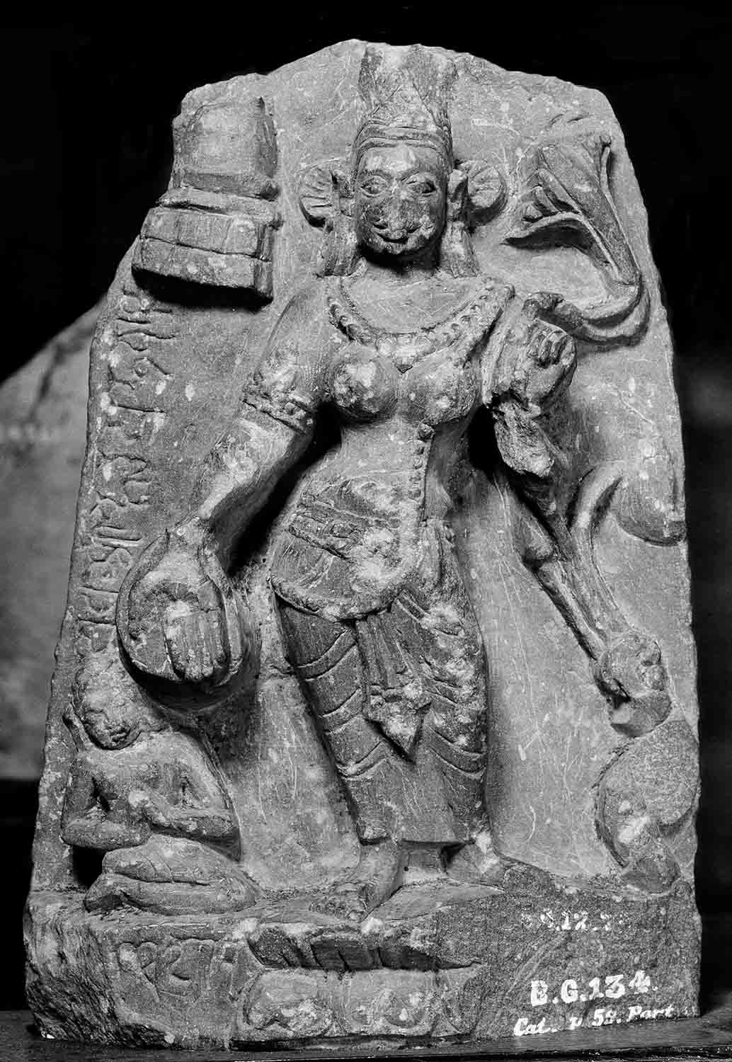 Indian Museum, Kolkata, West Bengal