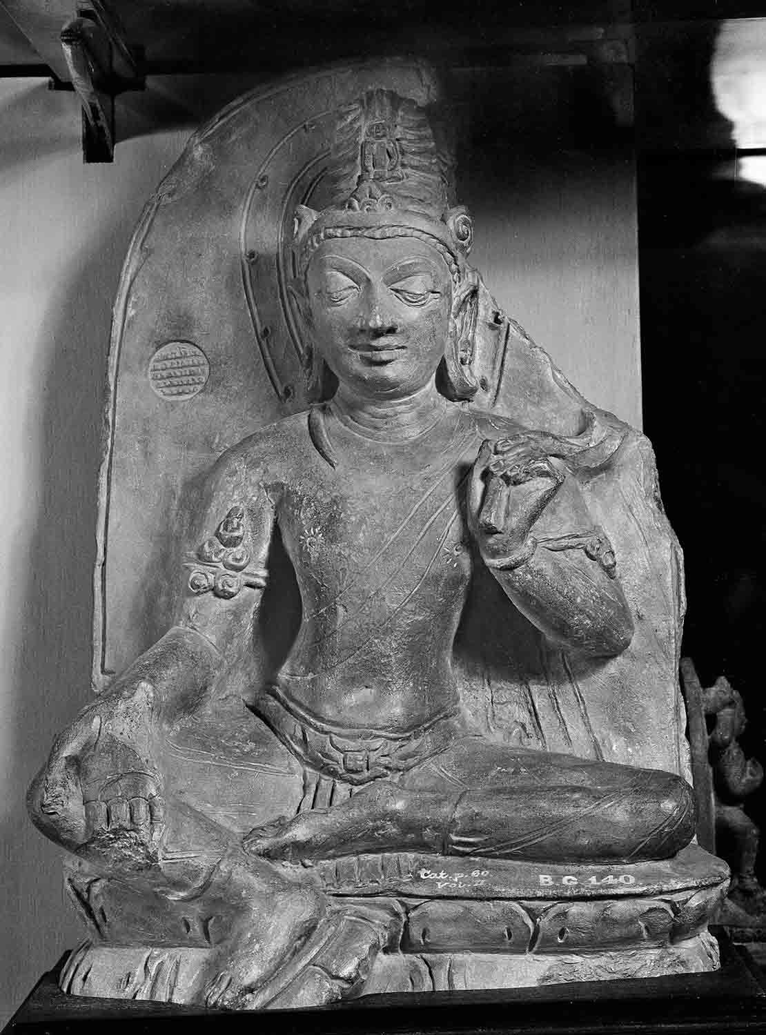 Indian Museum, Kolkata, West Bengal
